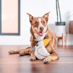 Red Dingo Durables Hållbar Gosedjur Kakaduan Craig